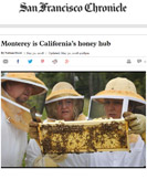 Monterey is California’s honey hub
